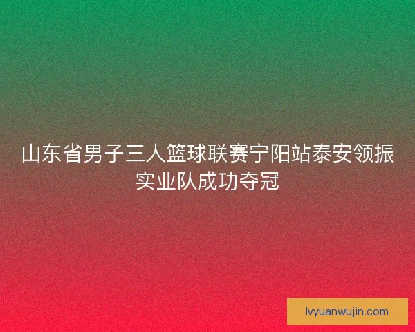 山东省男子三人篮球联赛宁阳站泰安领振实业队成功夺冠