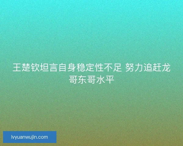 王楚钦坦言自身稳定性不足 努力追赶龙哥东哥水平