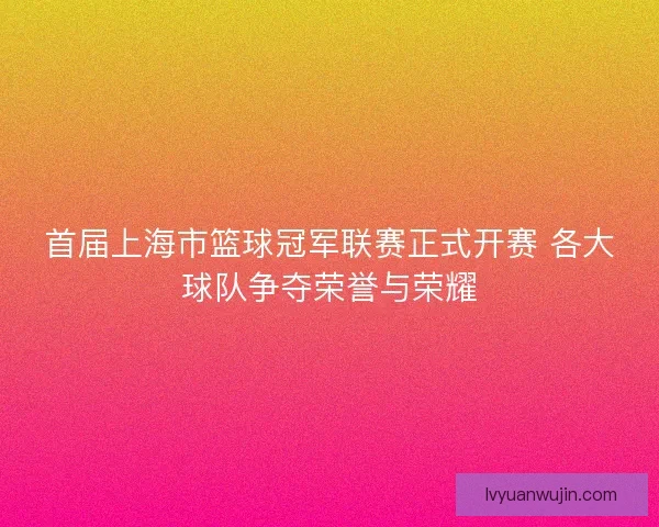 首届上海市篮球冠军联赛正式开赛 各大球队争夺荣誉与荣耀