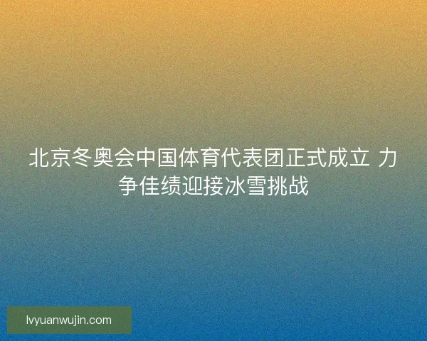北京冬奥会中国体育代表团正式成立 力争佳绩迎接冰雪挑战 北京冬奥会中国体育代表团正式成立 力争佳绩迎接冰雪挑战