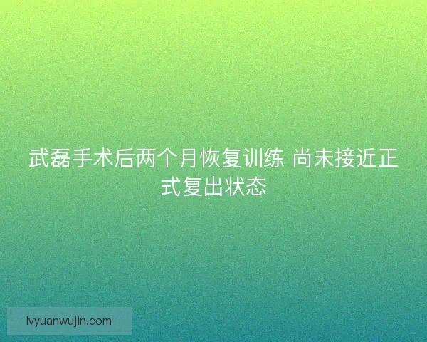 武磊手术后两个月恢复训练 尚未接近正式复出状态